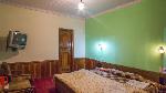 Hotel Pine Grove